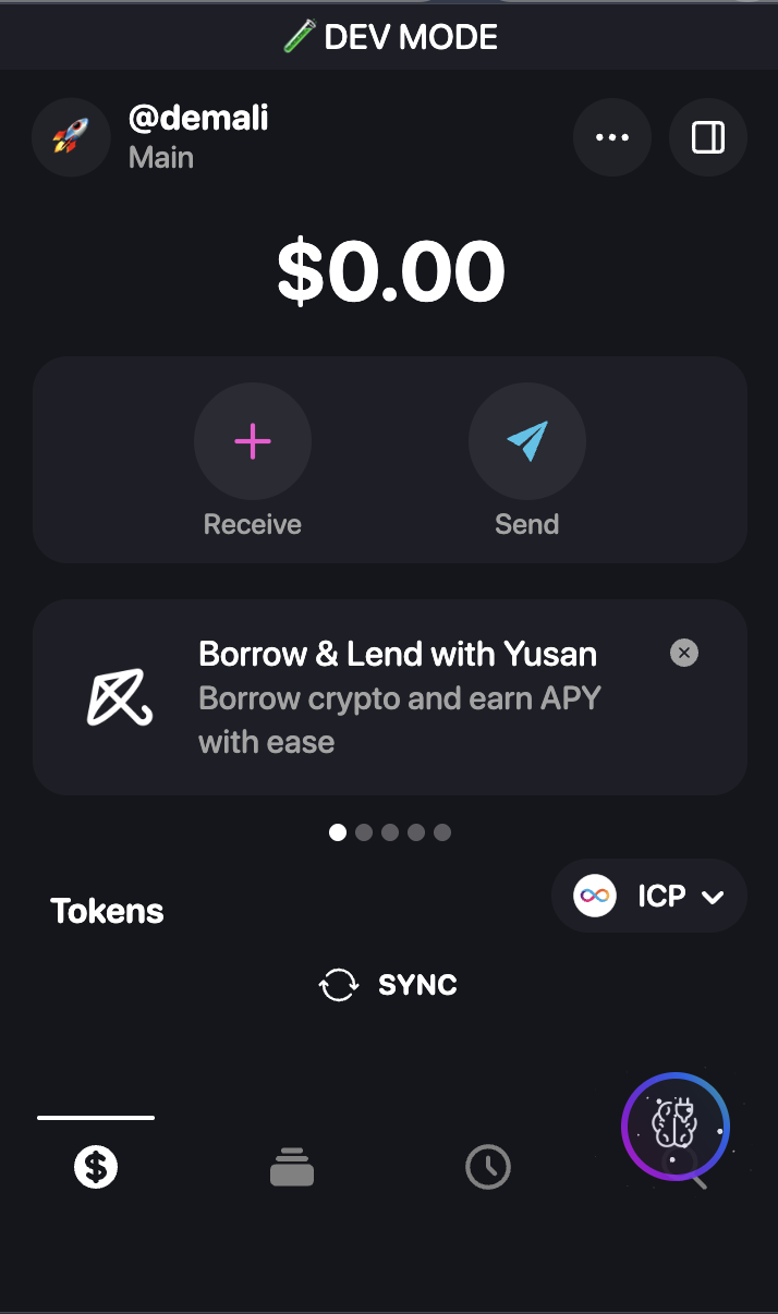 Plug Wallet main interface