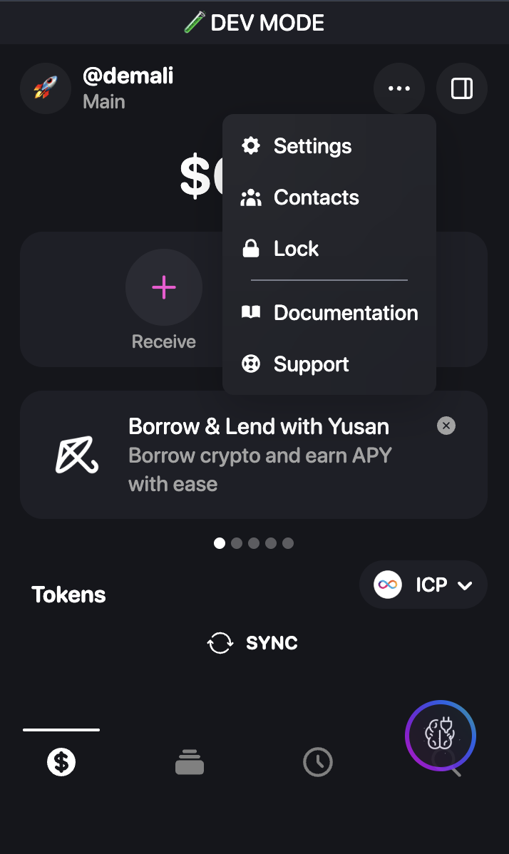 Plug Wallet menu expanded showing Settings option